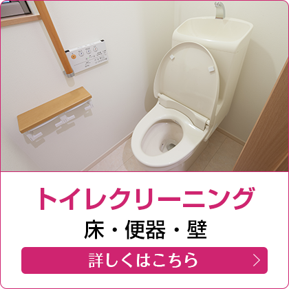 トイレクリーニング