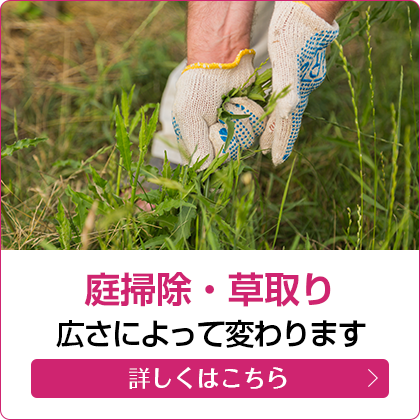 庭掃除・草取り